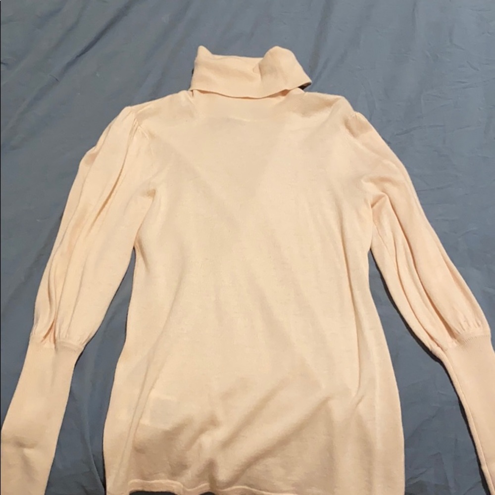 BCBG MaxAzria Turtleneck